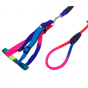 Шлейка для собак и кошек Радуга с поводком, L